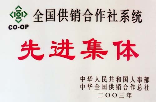 全国供销合作社系统先进集体